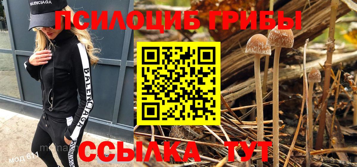 наркота  Вход с VPN  Кудрово  Псилоцибиновые грибы мухоморы  Галлюциногенные грибы MAGIC MUSHROOMS 